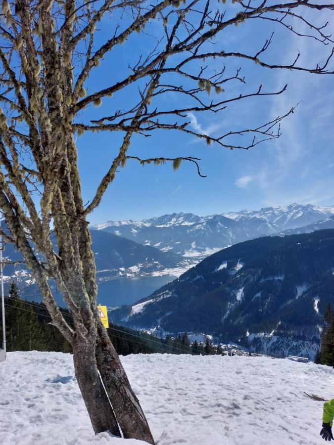 Chalet Peter ツェル アム ゼー エクステリア 写真